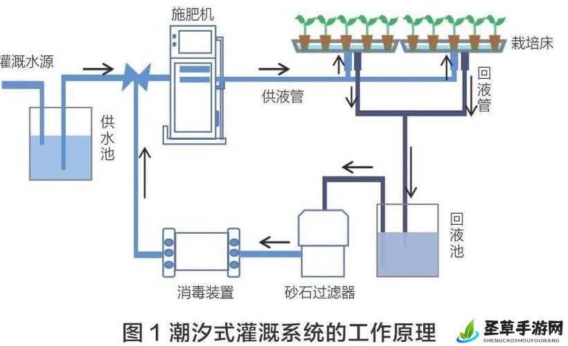 探秘 HP 公交车灌溉系统,深入剖析其工作原理与实际应用