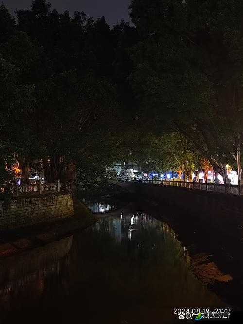 水边之夜未增减板的静谧夜晚独特之景