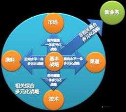 仙踪林COMPANYLIMITED 多重路径提供,助力企业发展的多元化策略