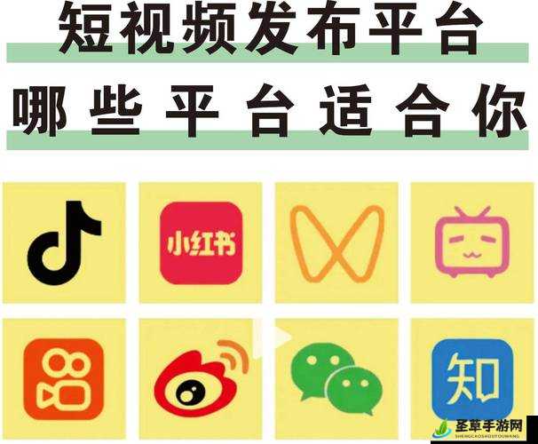 成品短视频 app 软件大全版,涵盖海量精彩短视频的聚合平台