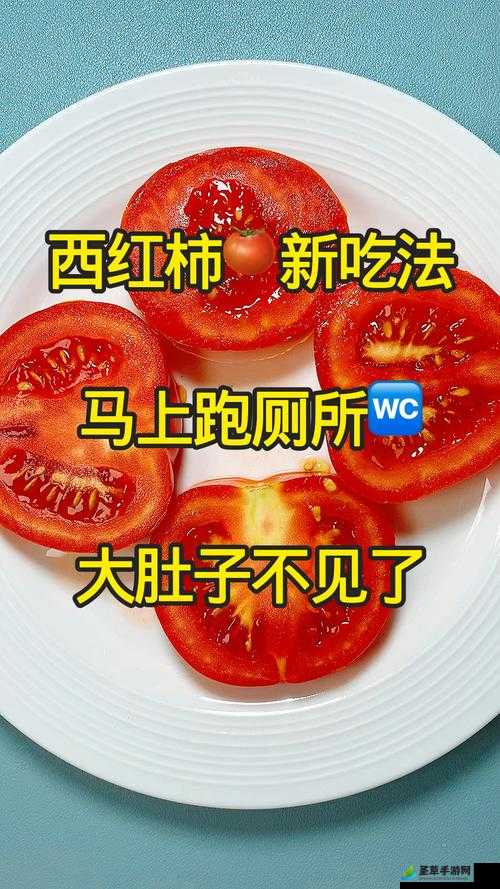 红番茄视频成年,探索其背后的故事与意义