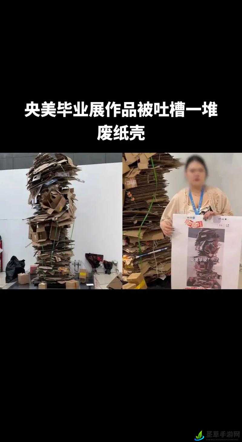 央美毕业展作品被吐槽废纸壳,专家观点引发热议