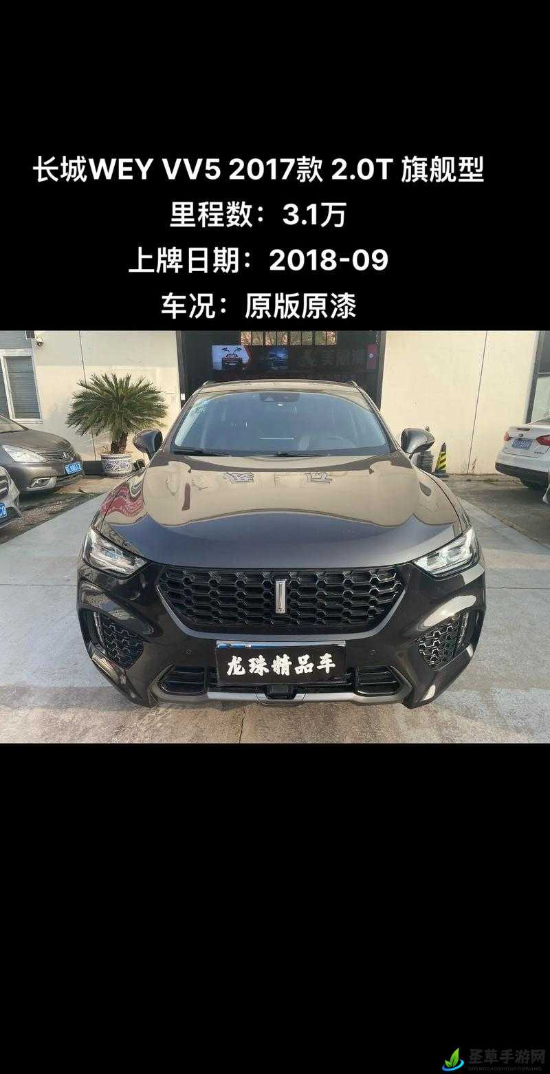 weyvv5 国产 SUV 最新视频评测,性能卓越,智能科技领先