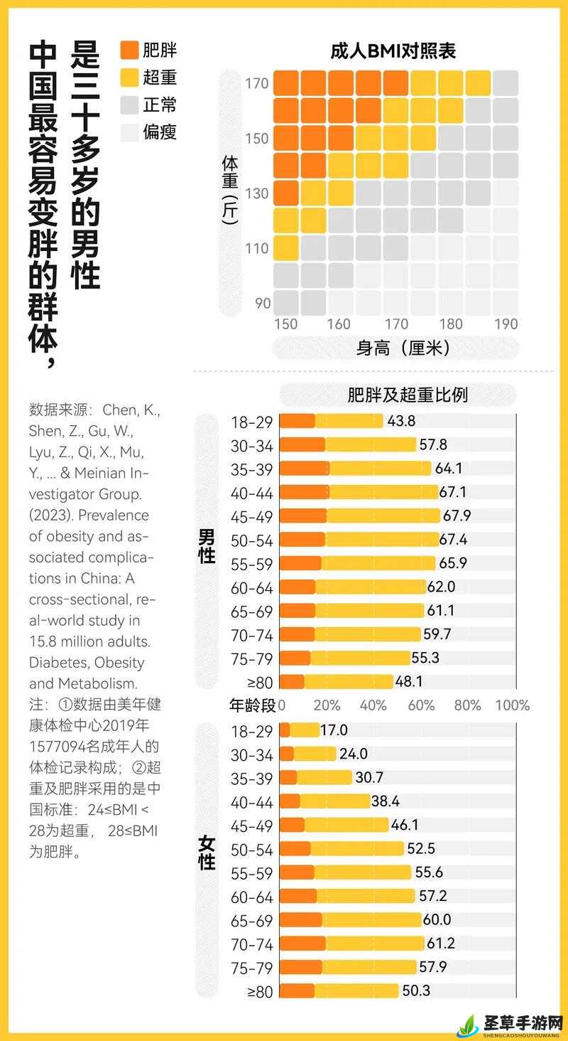 中国大肥胖 VPSWINDOWS,探讨肥胖问题的深度报道