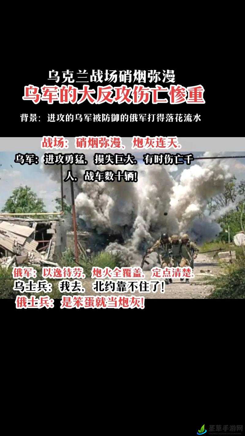 笨蛋炮灰总是悲催地被反复爆炒