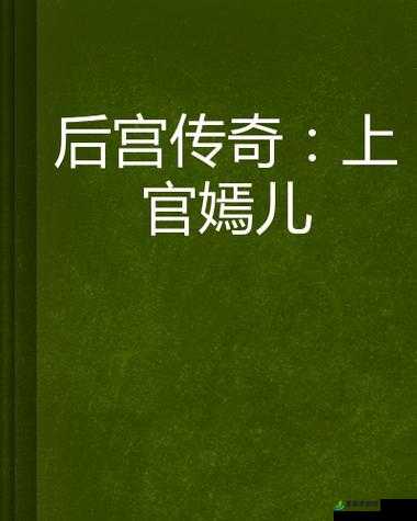 大臣干群皇太后的传奇小说,朝堂风云与后宫秘事