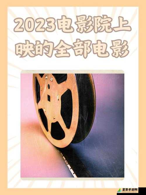 三年片大全免费观看国语 2023 年：畅享精彩影视盛宴