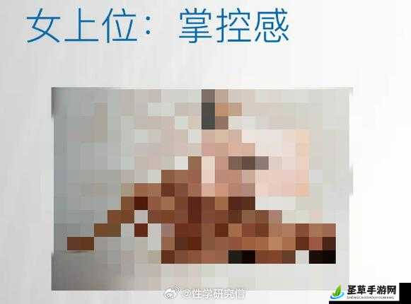 关于偷操的独特视角与深入探讨