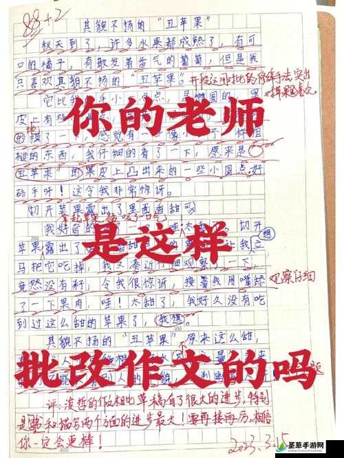 女孩双手双脚被反绑作文批改：深度解析与优化建议