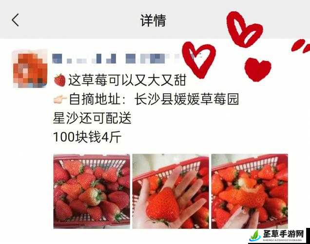 草莓传媒充值的钱能退回来吗：相关规定与解决办法探讨