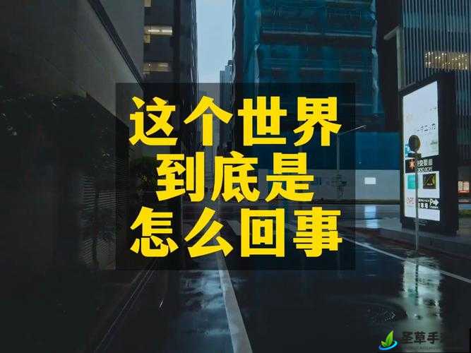 让我们来看看，www 逼逼，这是一个怎么样的世界