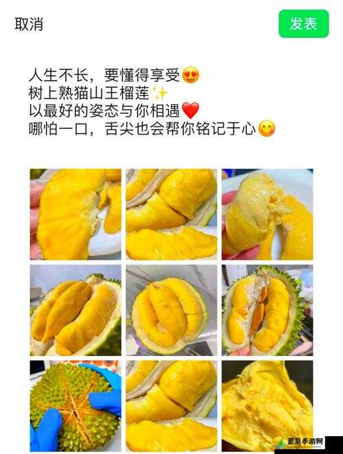 榴莲草莓未满十八岁做法大全：探索新奇美食的趣味之旅