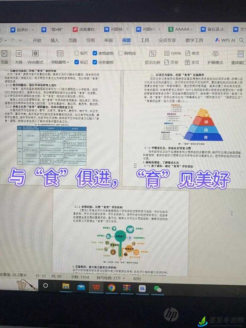 肉食教师食取报告 2 ：揭示教育领域的饮食现象与深层思考