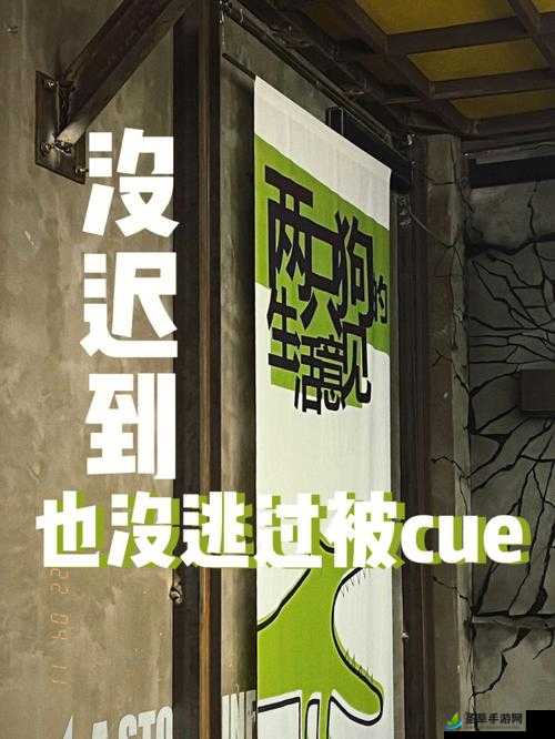 好会吸的 cue 带来别样精彩体验