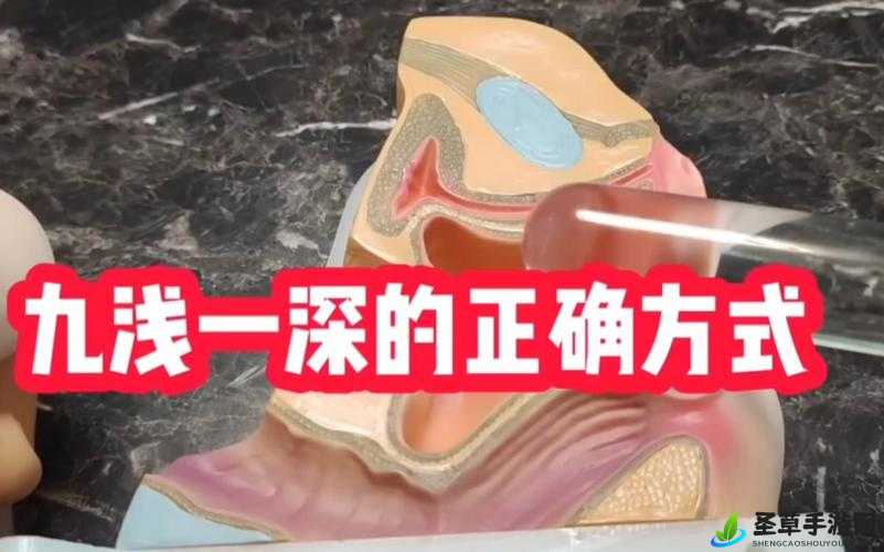 九浅一深与左三右三如何搭配的实用指南