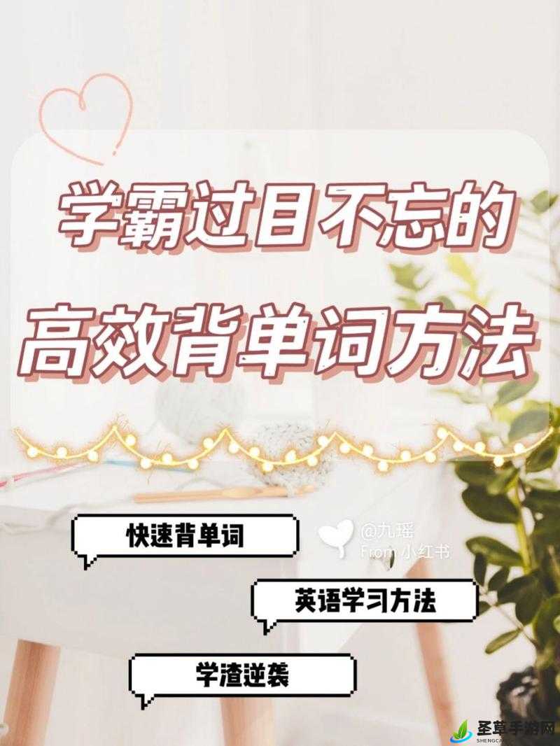 坐在学霸的鸡上背单词,别样高效学习体验