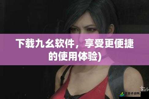 九幺9.1免费版安装教程,详细步骤教你如何快速完成九幺9.1免费版的安装与配置