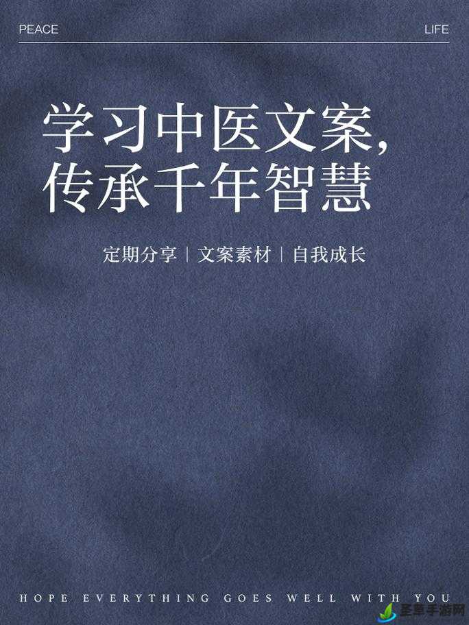 中医老王和小雨的祛毒：一段传承千年的中医智慧之旅