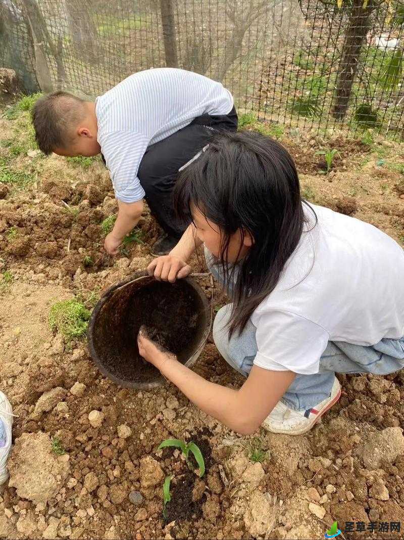 如何利用母亲肥沃的土地进行农业生产