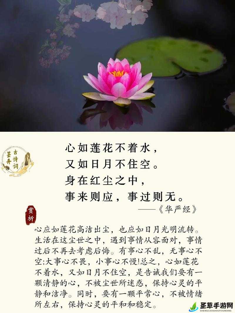 女人半夜莲花开所蕴含的神秘寓意探讨