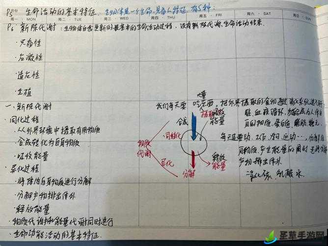 人与畜禽共性：探究两者在生命特征和行为模式方面的相似之处