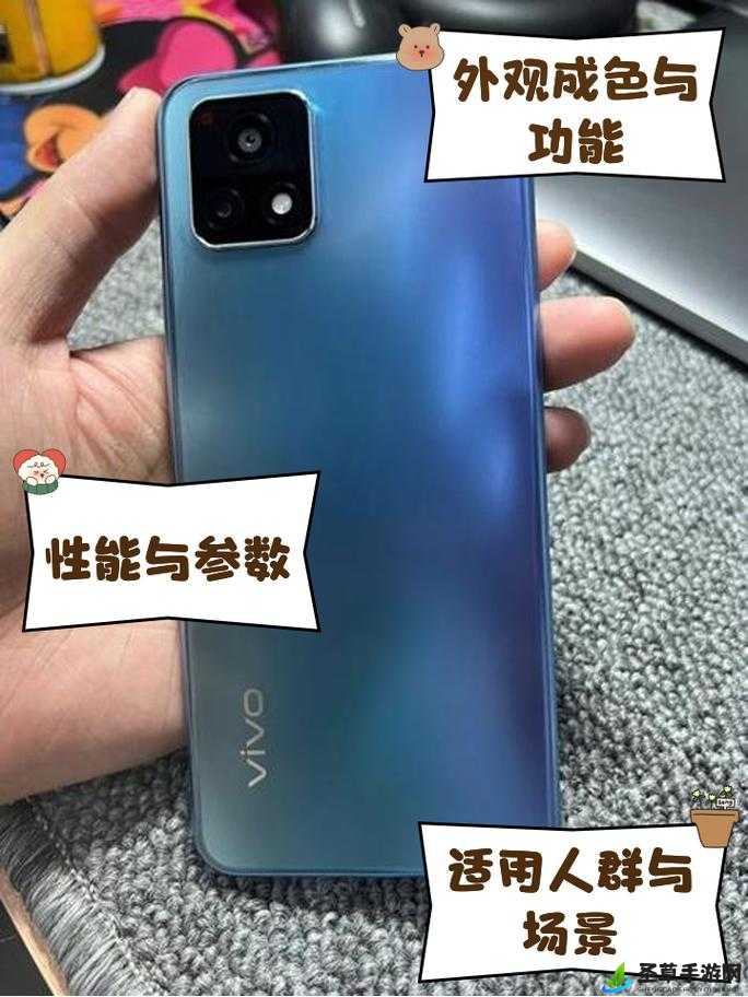 成色好的 y31s 标准版官网：品质卓越之选