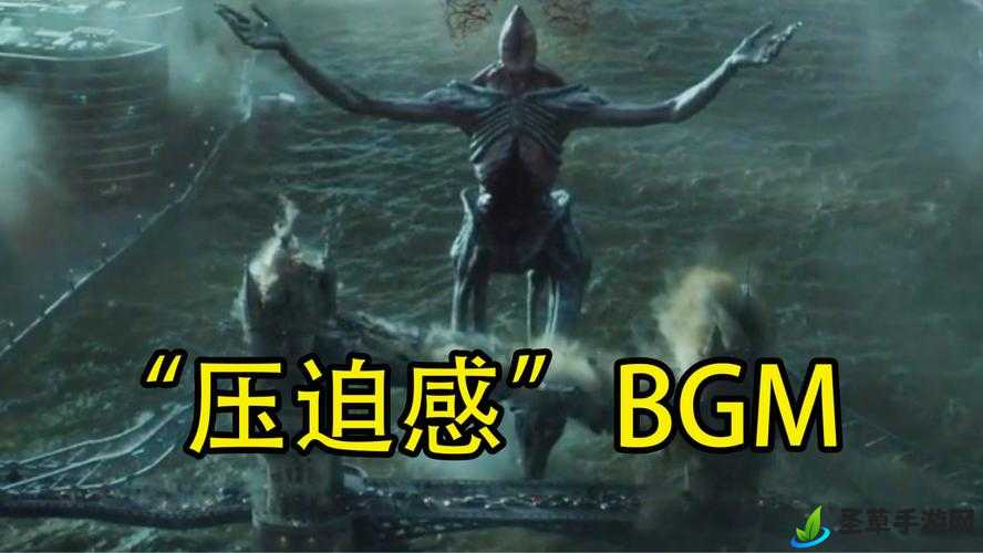 BGMBGMBGM 老太太毛多且引人深思的奇特现象