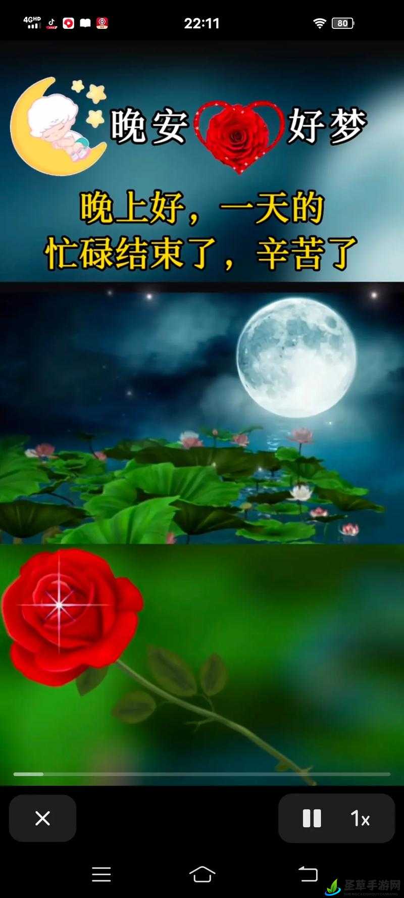 一天晚上用了好几个小雨伞：这奇妙经历令人难以忘怀