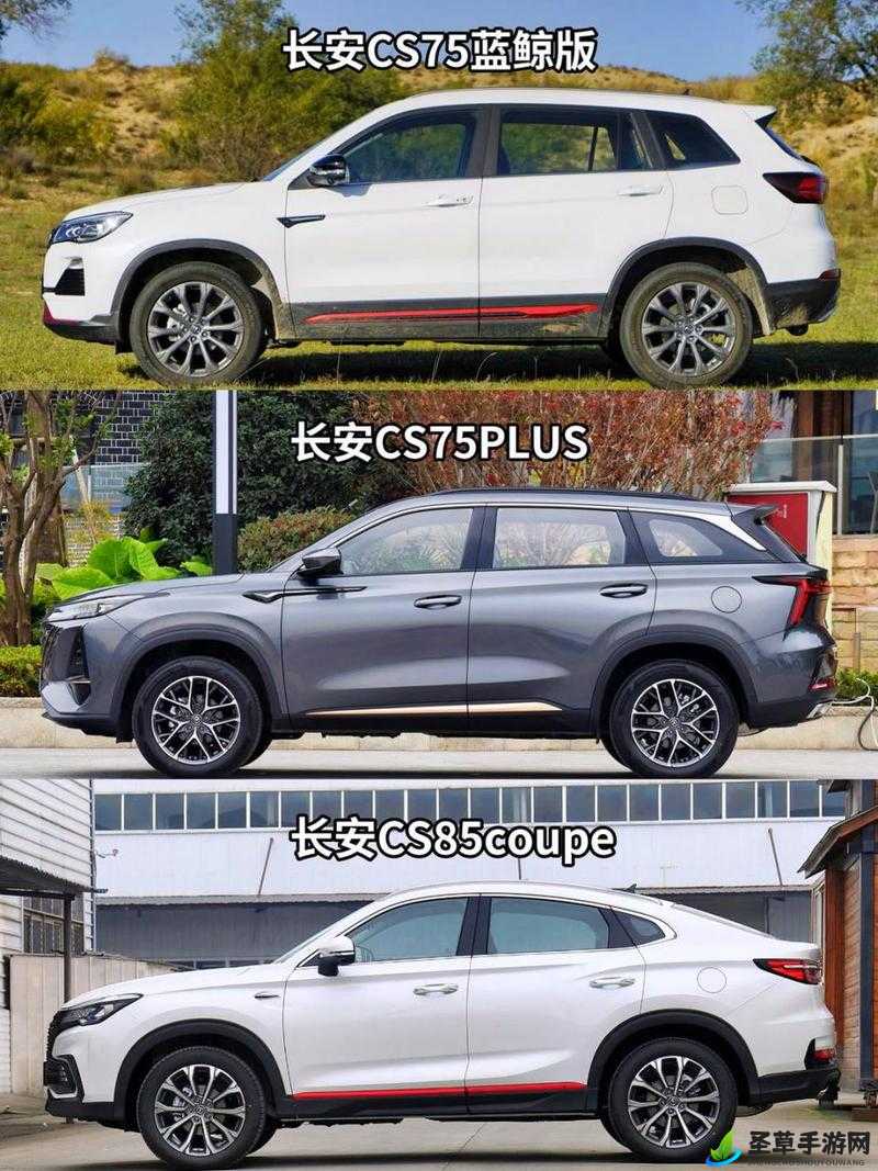 久免费一级 SUV 好看的国产车型备受关注且极具特色