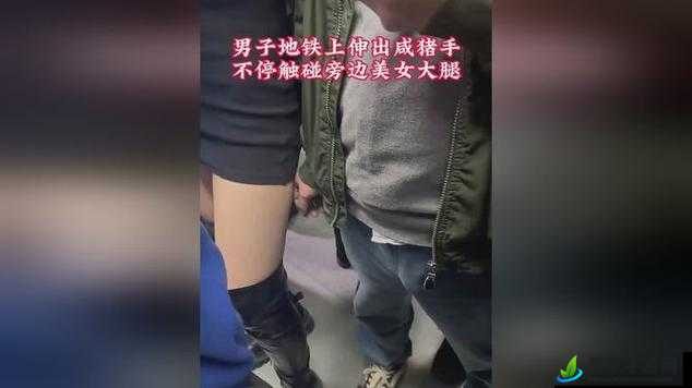 成都地铁上配合咸猪猪手：关于此类不文明行为的探讨与思考