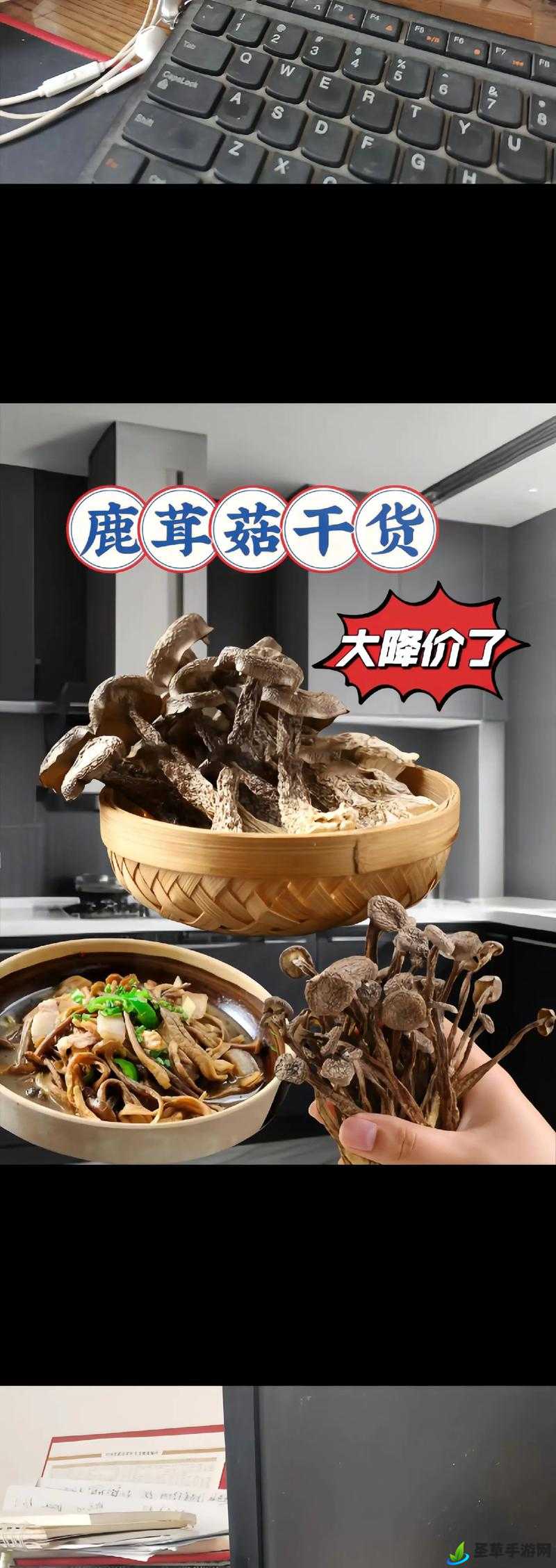 精产国蘑菇品一二三产品区：打造全国领先的食用菌产业集群