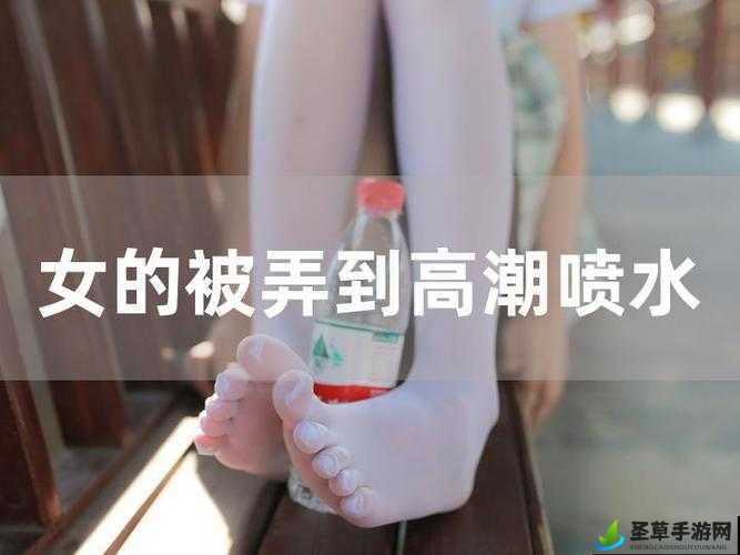 关于完整性 XXXⅩ俄罗斯女人喷水的独特视角探讨