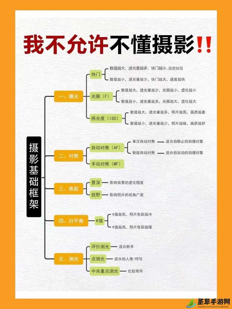 导演的摄影课 HL：专业摄影知识与技巧的精彩讲解