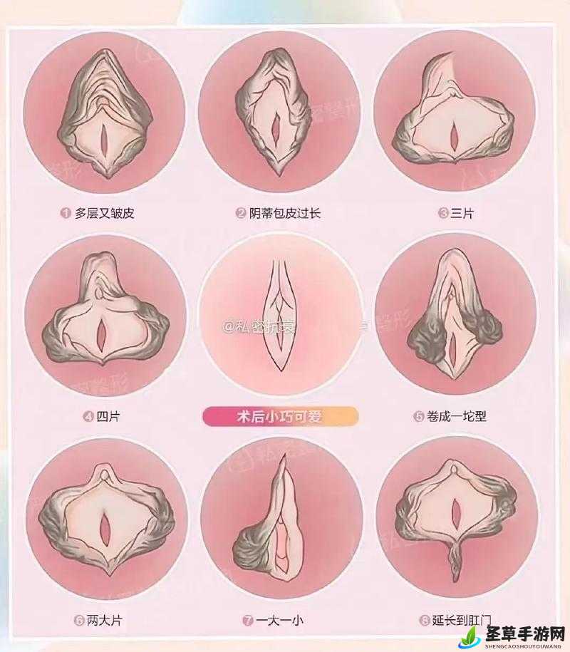 女生隐私：六年级私密空间大揭秘