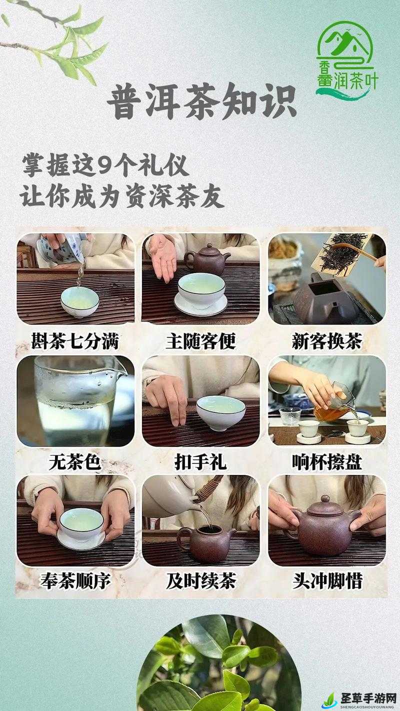 51 品茶最新-带来全新的品茶体验与丰富资讯