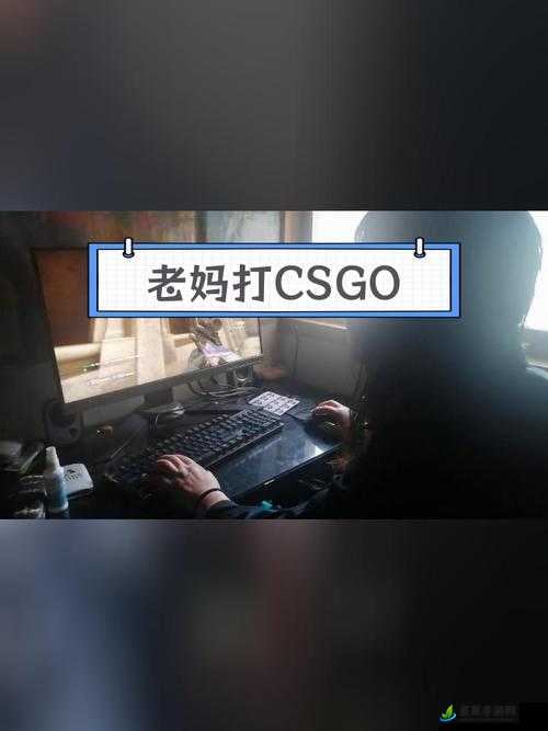 40 岁大妈玩 CSGO：游戏不止年轻人的专利