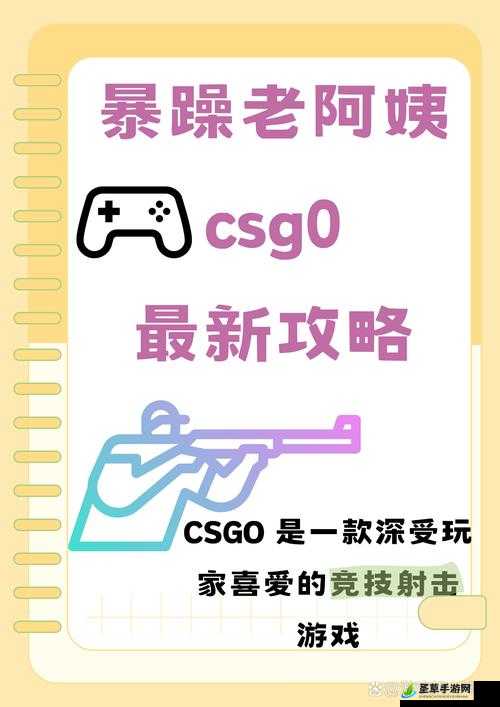 55 岁大妈玩 CSGO：别样人生的游戏之旅