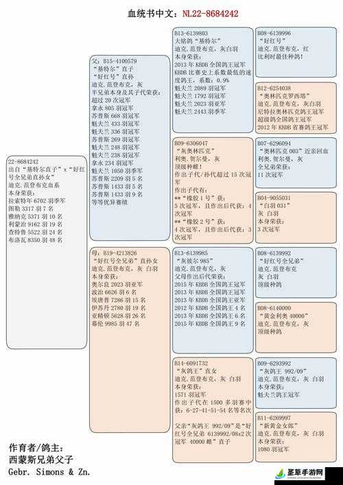 代号肉鸽新手流派大全：各类流派全解析助新手轻松闯荡