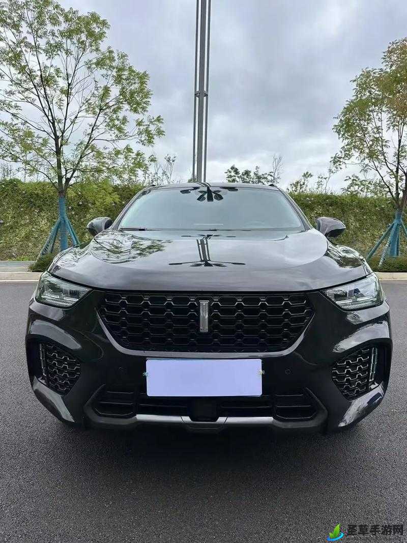 wey vv5 国产 SUV 视频：卓越品质引领潮流