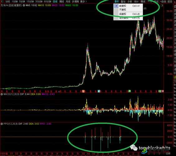 一阴吞两阳与MACD的关系之深入探究与实战应用分析