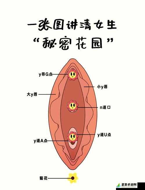 在私密空间，探索一边揉小兔兔一边舔的感觉