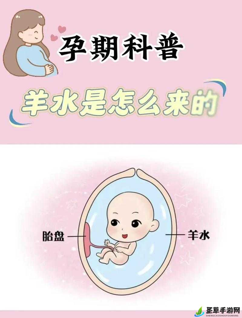 人类进入羊水门的奇妙探索历程