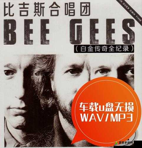 beegeeshowdeepisyourlove 之经典歌曲魅力解析