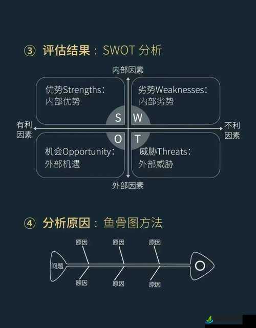 解析 JANPENSEVISA 全方位解读剖析