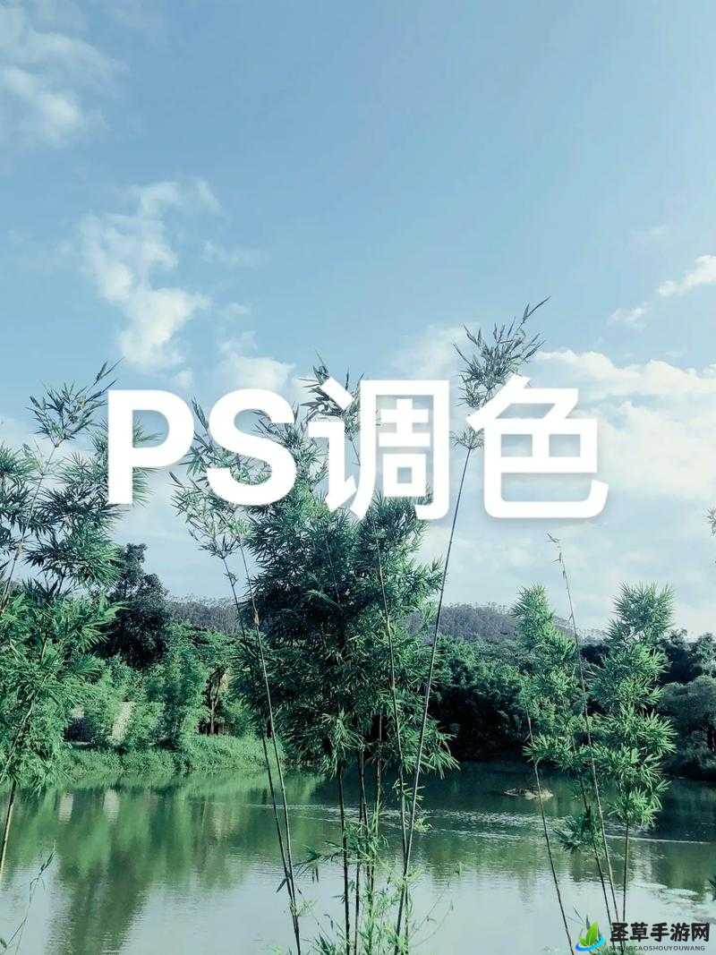 探索 PS 二级调色大片效果：打造视觉盛宴