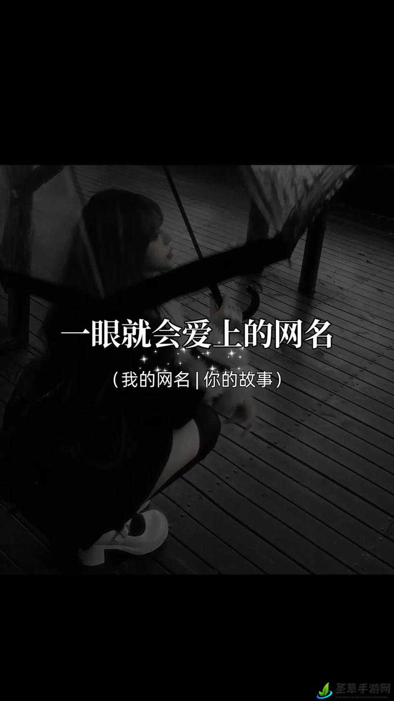 女生把 qq 放在男生定眼里：一段青春岁月中的特别情感故事